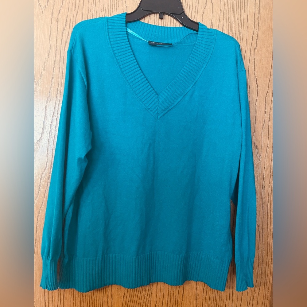Lane Bryant deep teal V-neck sweater. Washed once and worn once. Like new.
